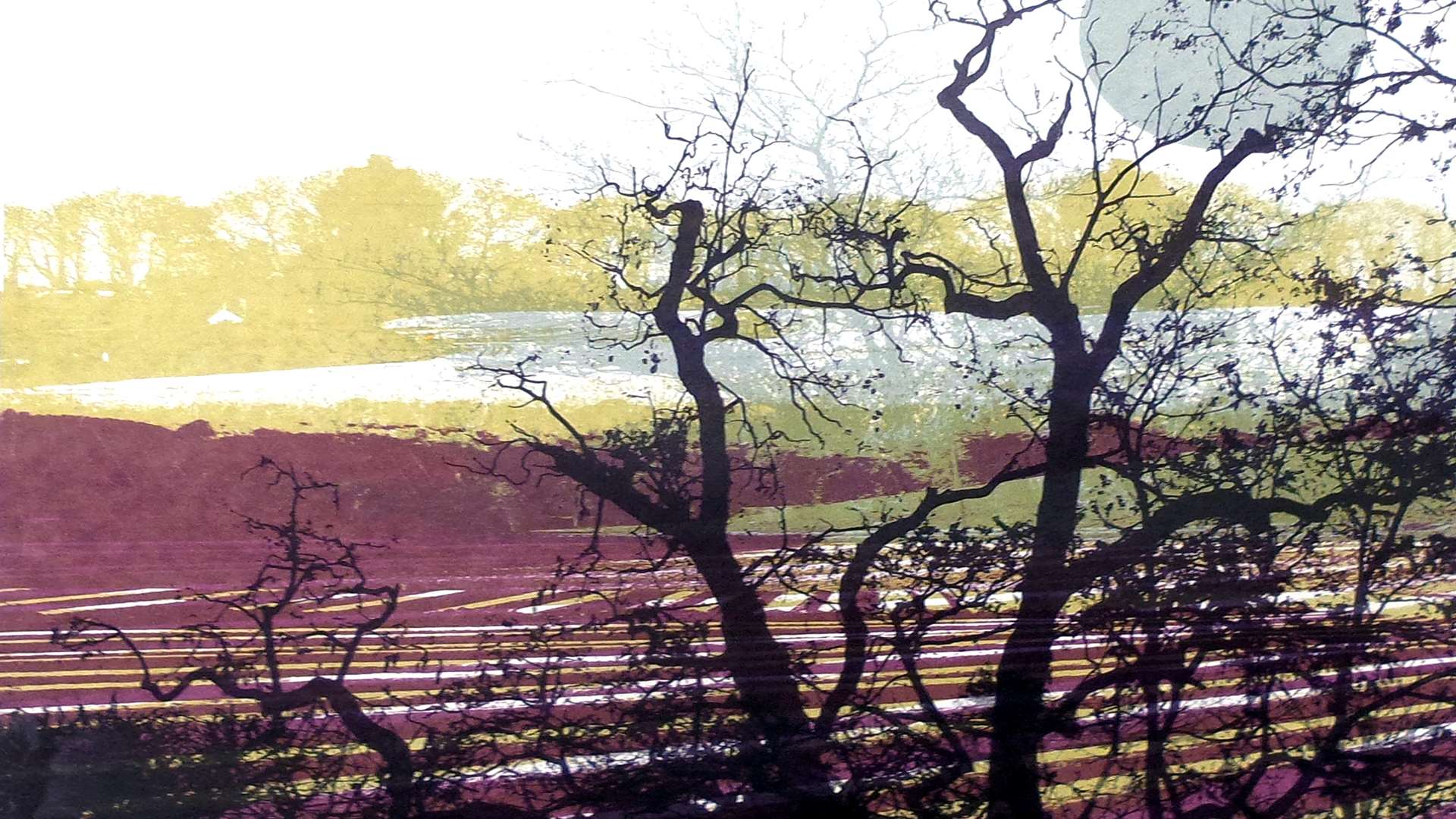 Ruth McDonald's Moonlit Furrows at Stalisfield is part of the Soil exhibition