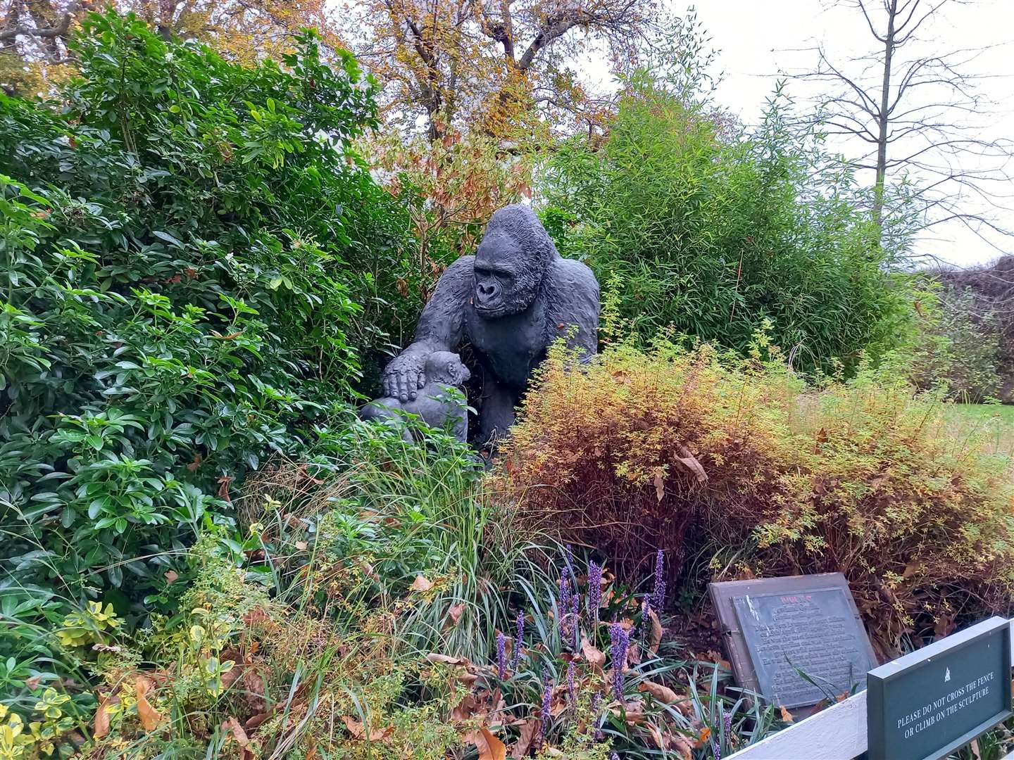The gorilla statue is the only great ape visitors can see at the far end of the park