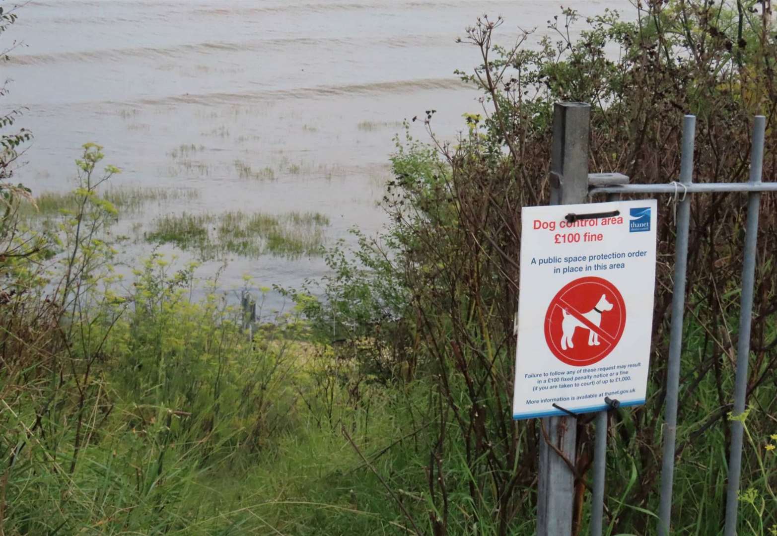 Signs in the area warn dog owners to keep pets under control. Picture: Kent Wildlife Trust