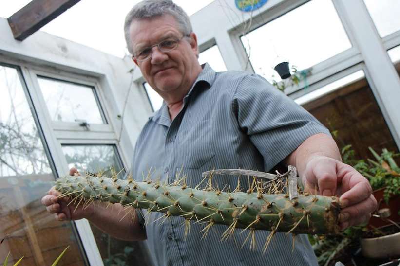 Sheerness man David Bancroft was astounded after thieves twice stole cacti from his greenhouse