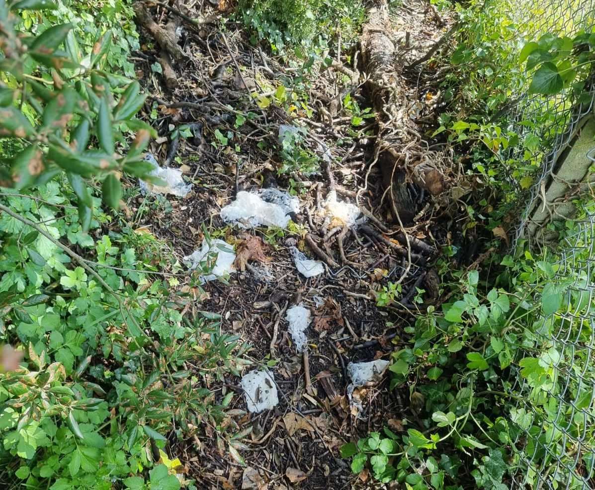 Poo and dirty tissues were also found in the woodland. Photo: DB Environmental