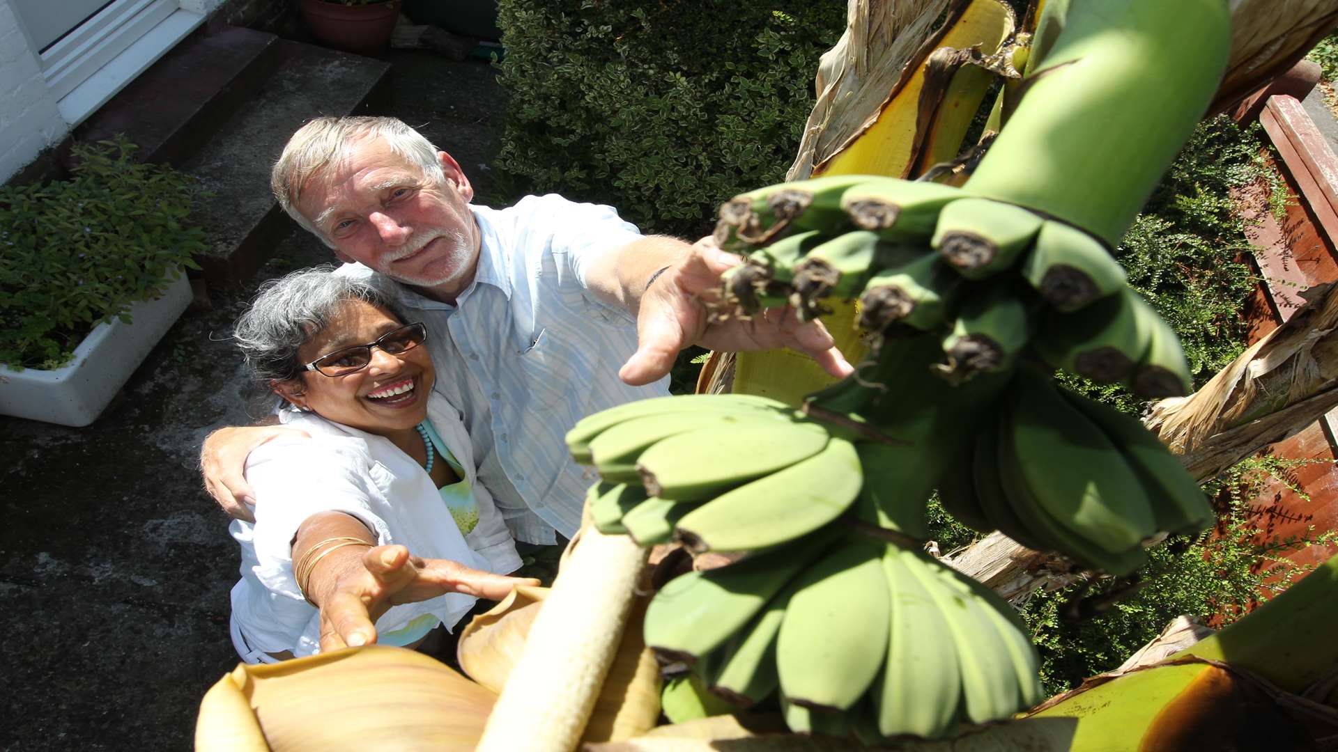 Martin and Yvonne Leaver with their banana tree