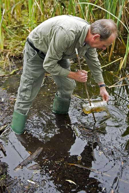 Dr Lee Brady capturing the precious newts in one of his bottle traps