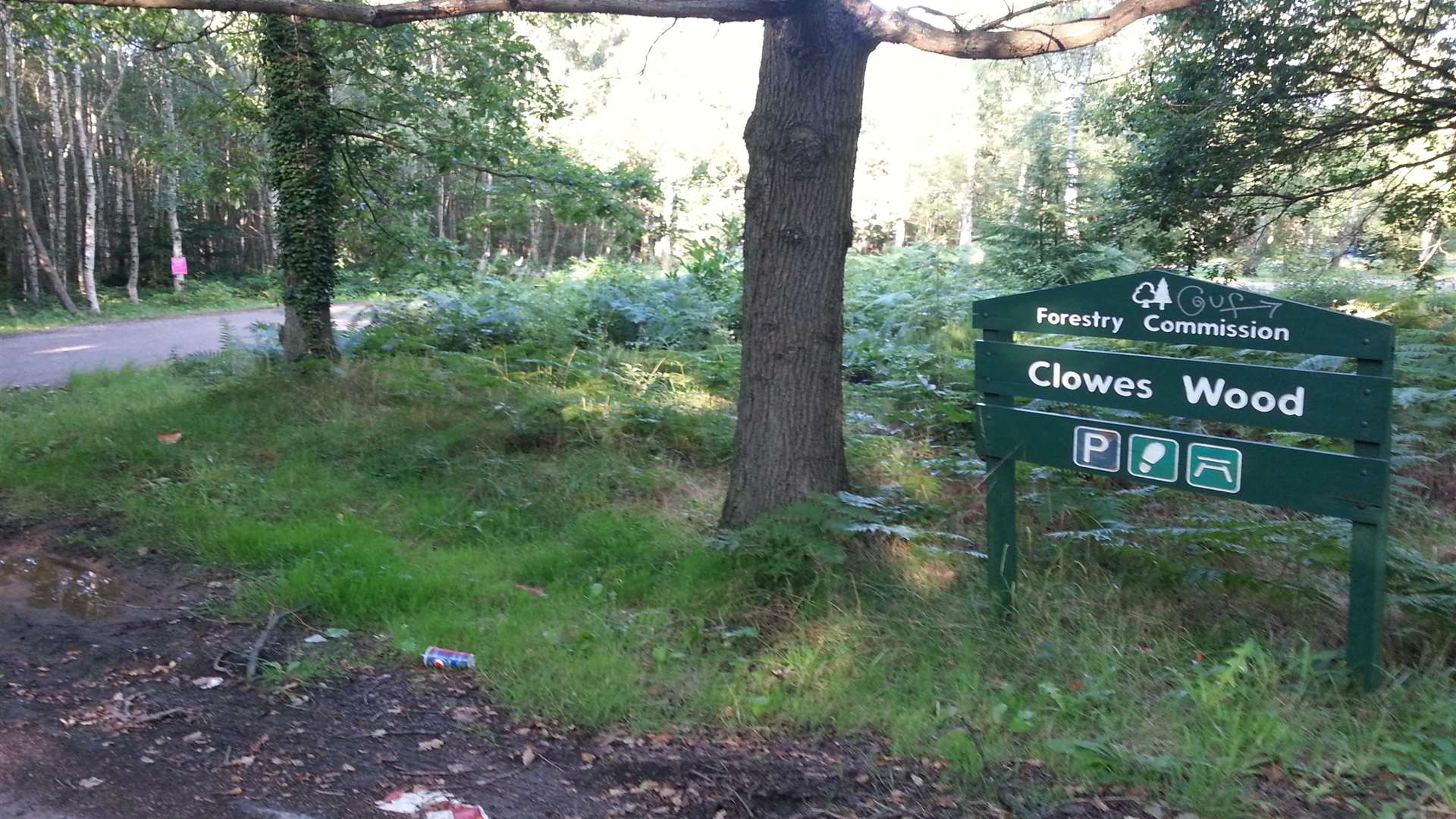 The entrance to Clowes Wood near Chestfield