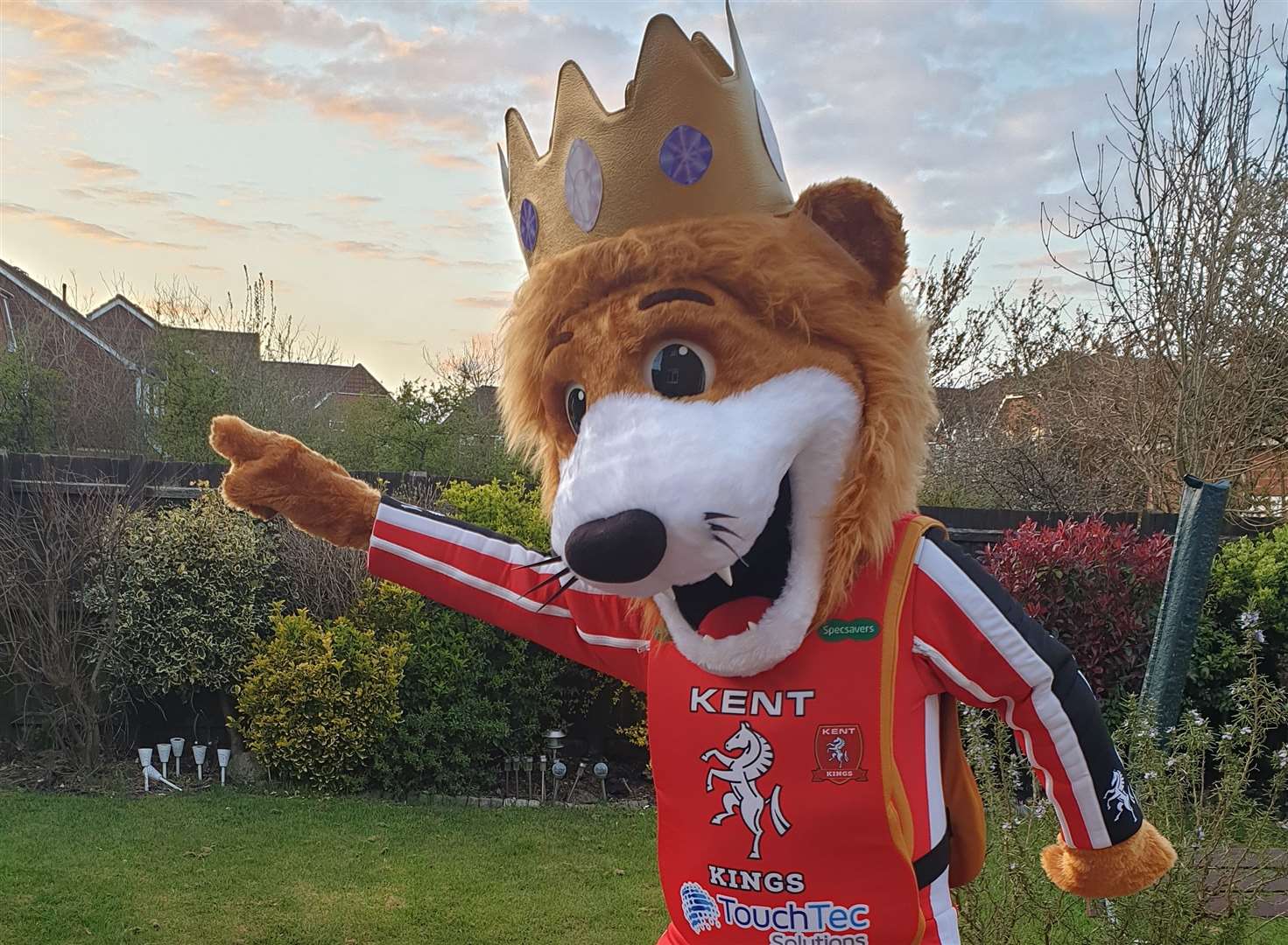 Kent Kings & Royals new mascot needs a name (33109595)
