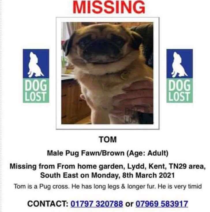 Help is now needed to find Tom, who is missing from Lydd. Picture: Facebook