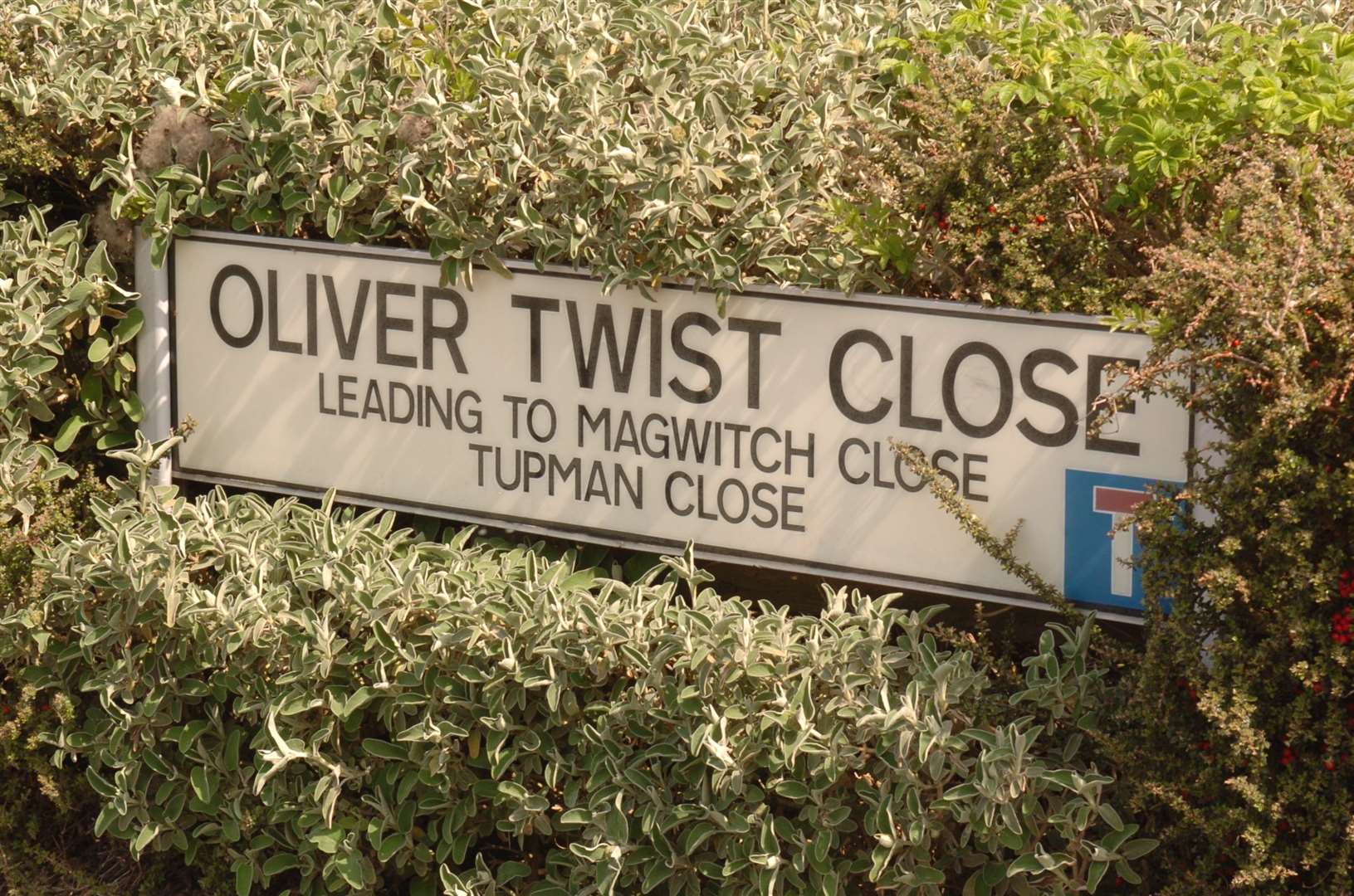 Oliver Twist Close, Rochester. Steve Crispe