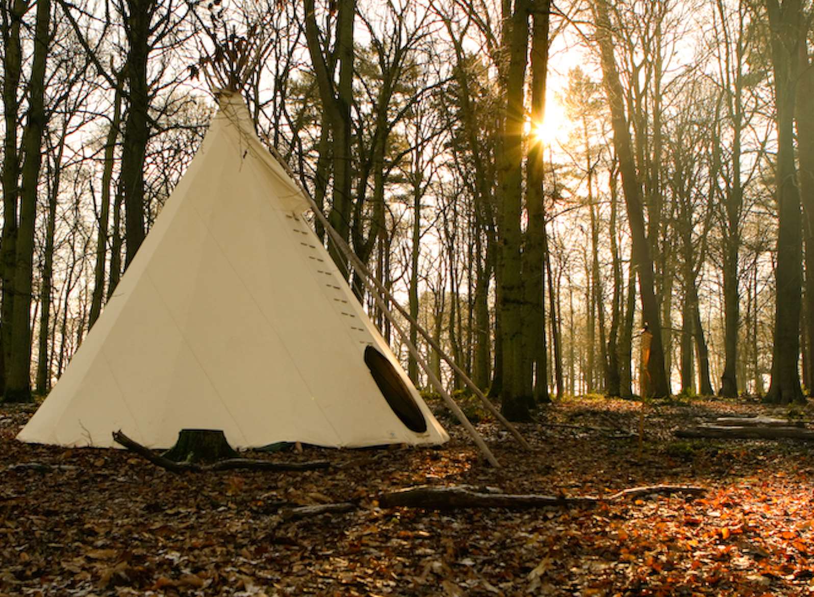 Camp Wilderness at Penshurst PLace