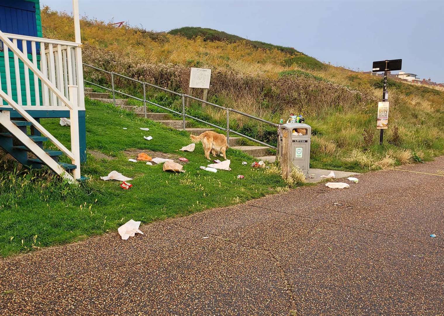 Litter strewn by the coast