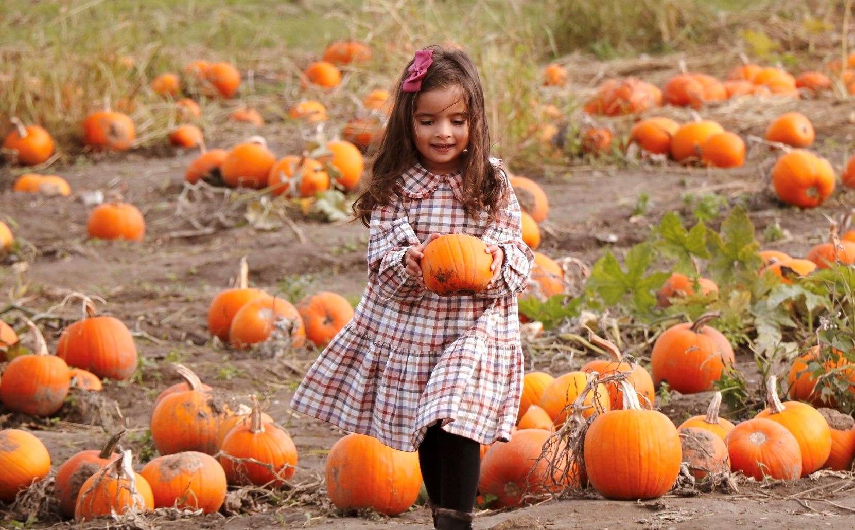 Pumpkin patches will be opening up all over the county this October. Picture: @photography.by.gizem
