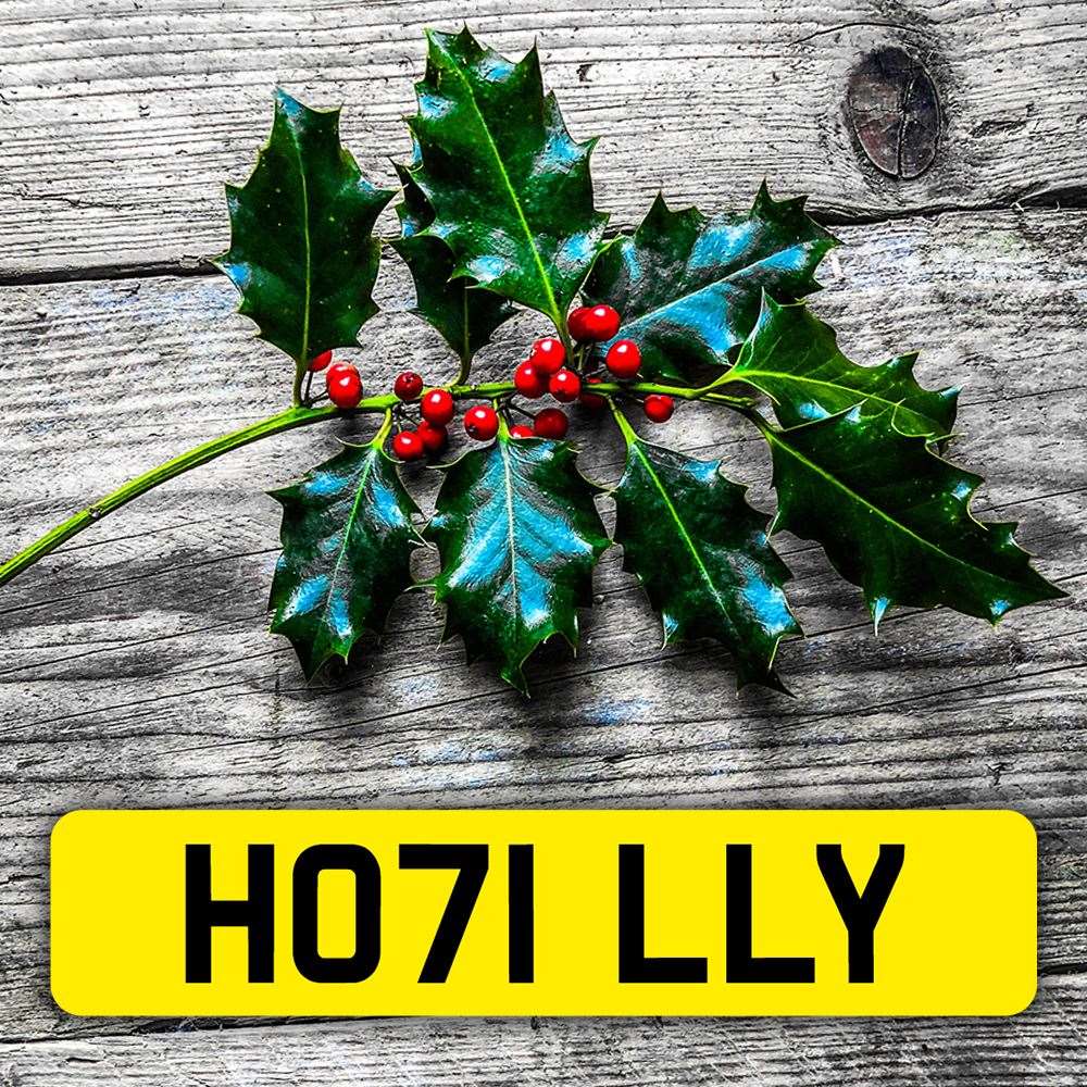 Do you know a Holly who would appreciate this plate?