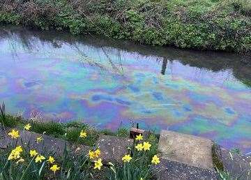 The oil spill in the River Stour in Chartham. Picture: Roy Thicke