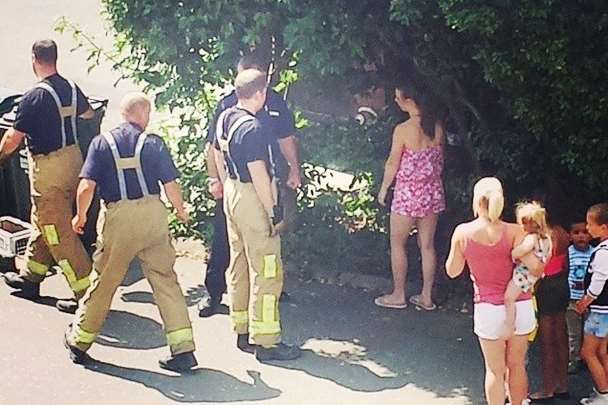 Firefighters rescued the cat from the tree. Picture: nevrandil