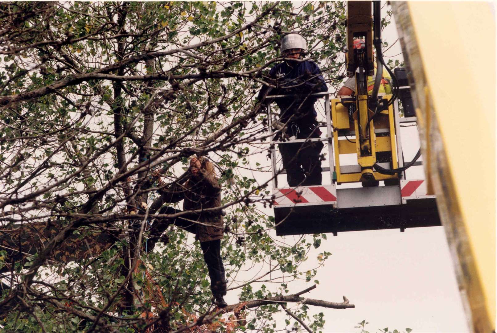 Protesters in trees during construction of the New Thanet Way, in 1995