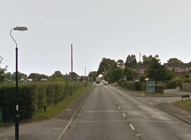 The crash happened in Hartley Road, Cranbrook. Picture: Google.