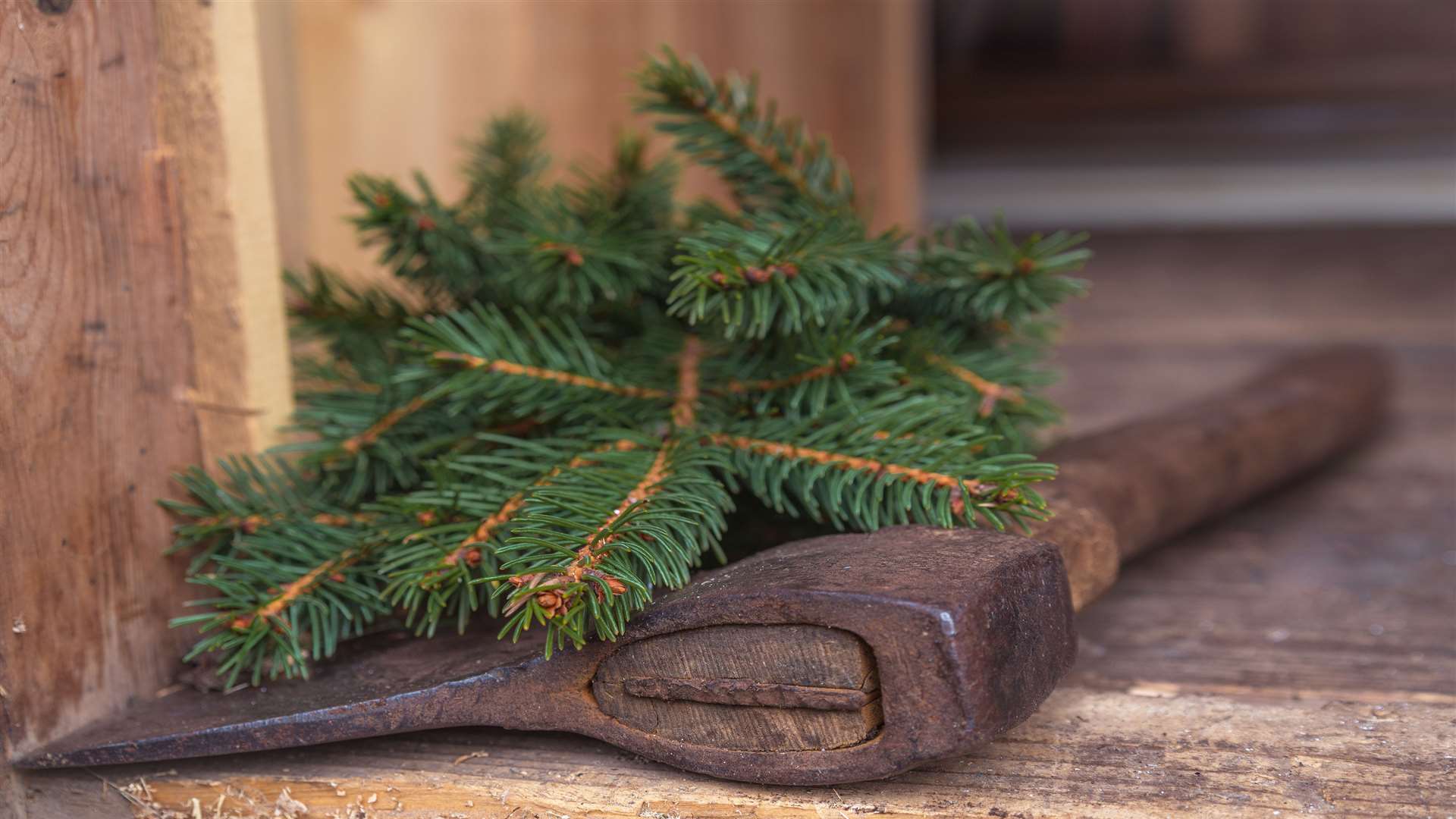 Cut down the tree into smaller, more manageable pieces