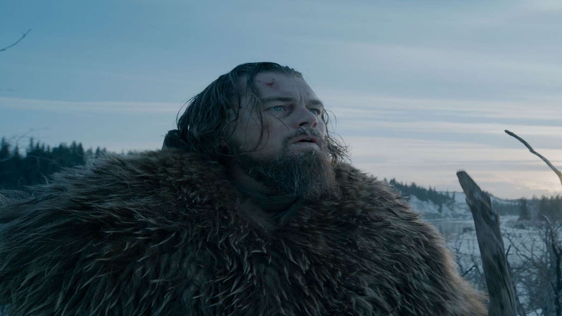 Could his role in The Revenant finally win Leonard DiCaprio an Oscar? Picture: PA/Twentieth Century Fox