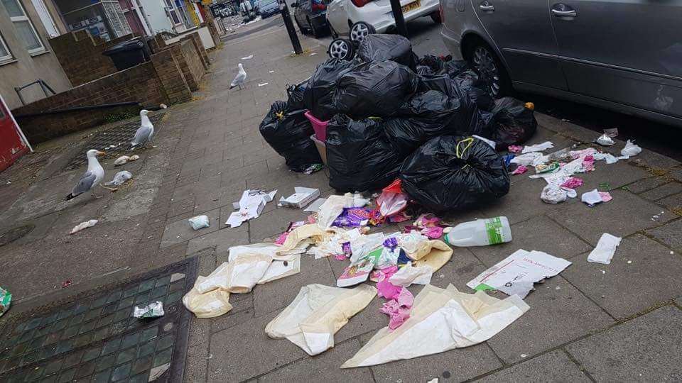 Residents are not provided with bins. Pic: Spencer Hickman (2609489)