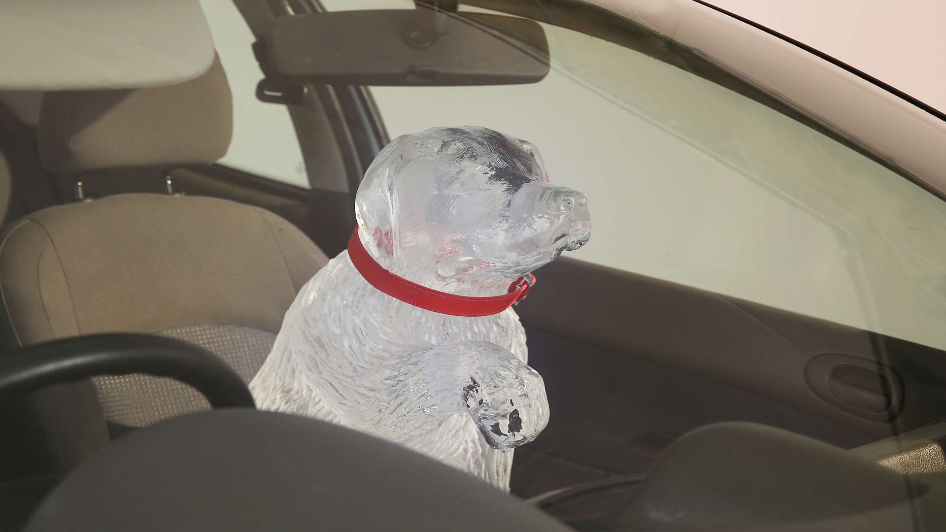 Dog lovers wouldn't leave their child in the car even for a few minutes... but they would their dog. Picture: Dogs Trust
