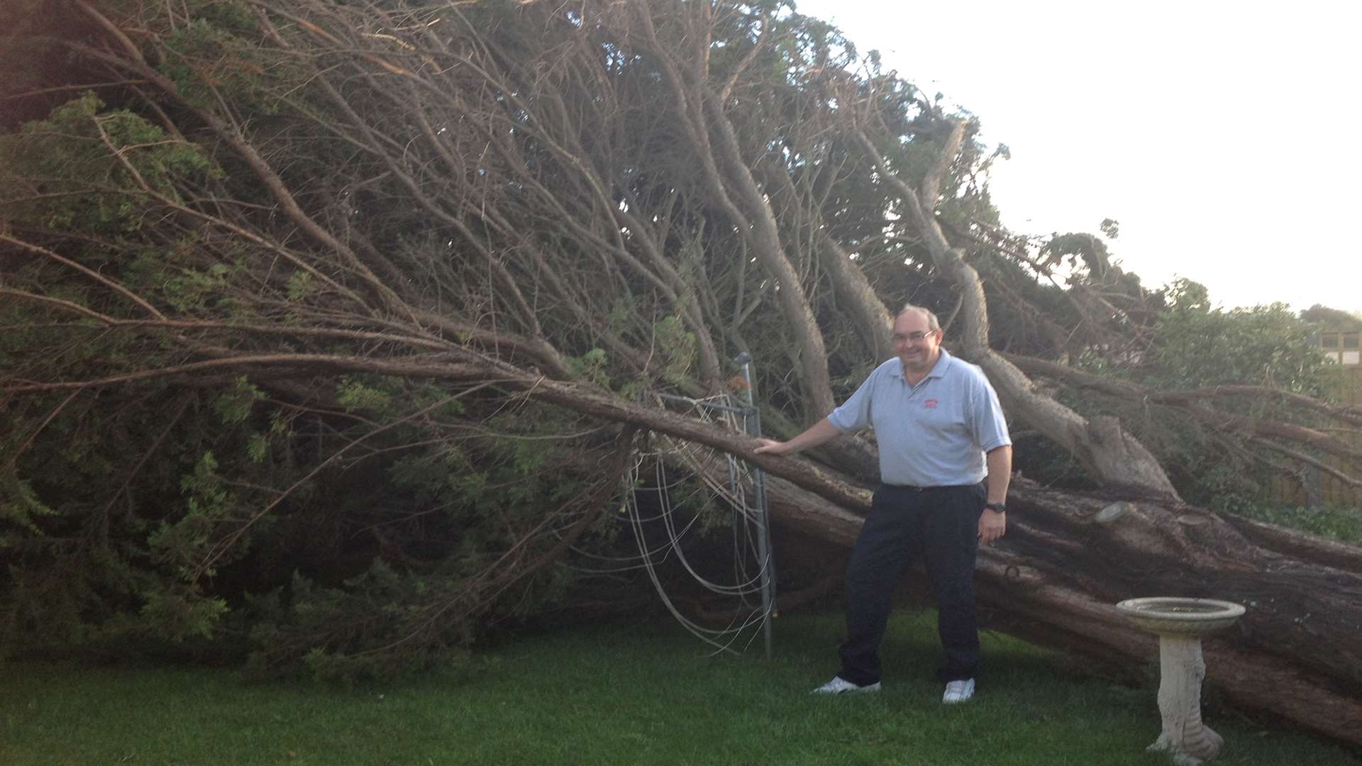 Tony Webb with a fir tree that uprooted and smashed down in his garden in Minster, Thanet