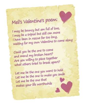 Meli's poem, written in the hope someone will give her a forever home