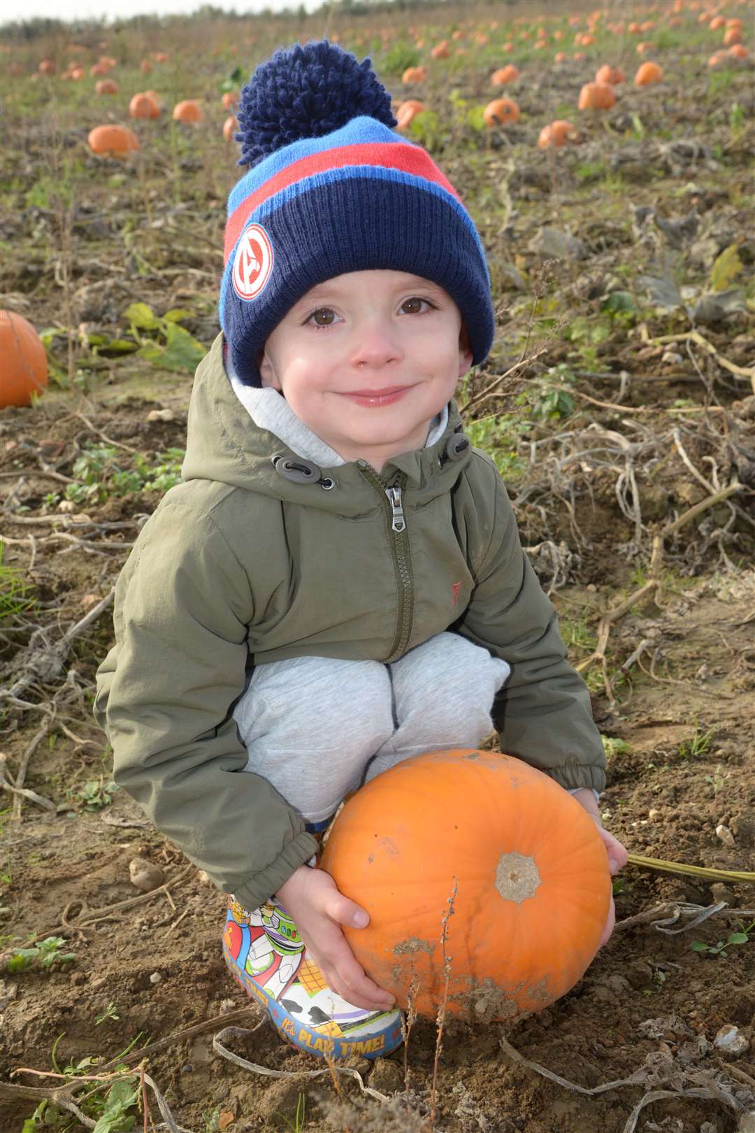 Arthur Mitchell, pumpkin picking at Beluncle Farm, Hoo last year Picture: Chris Davey