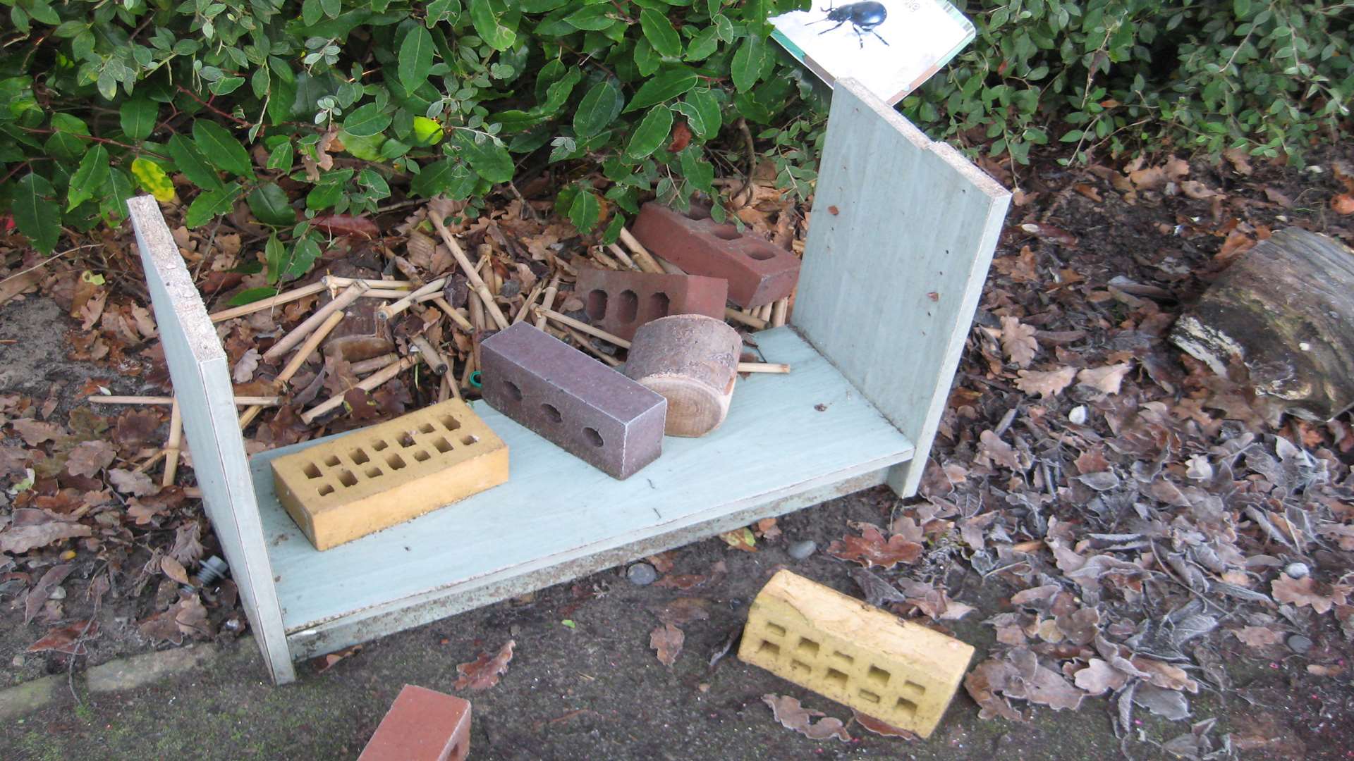 The bug hotel at the school was broken up and the wood used for ramps