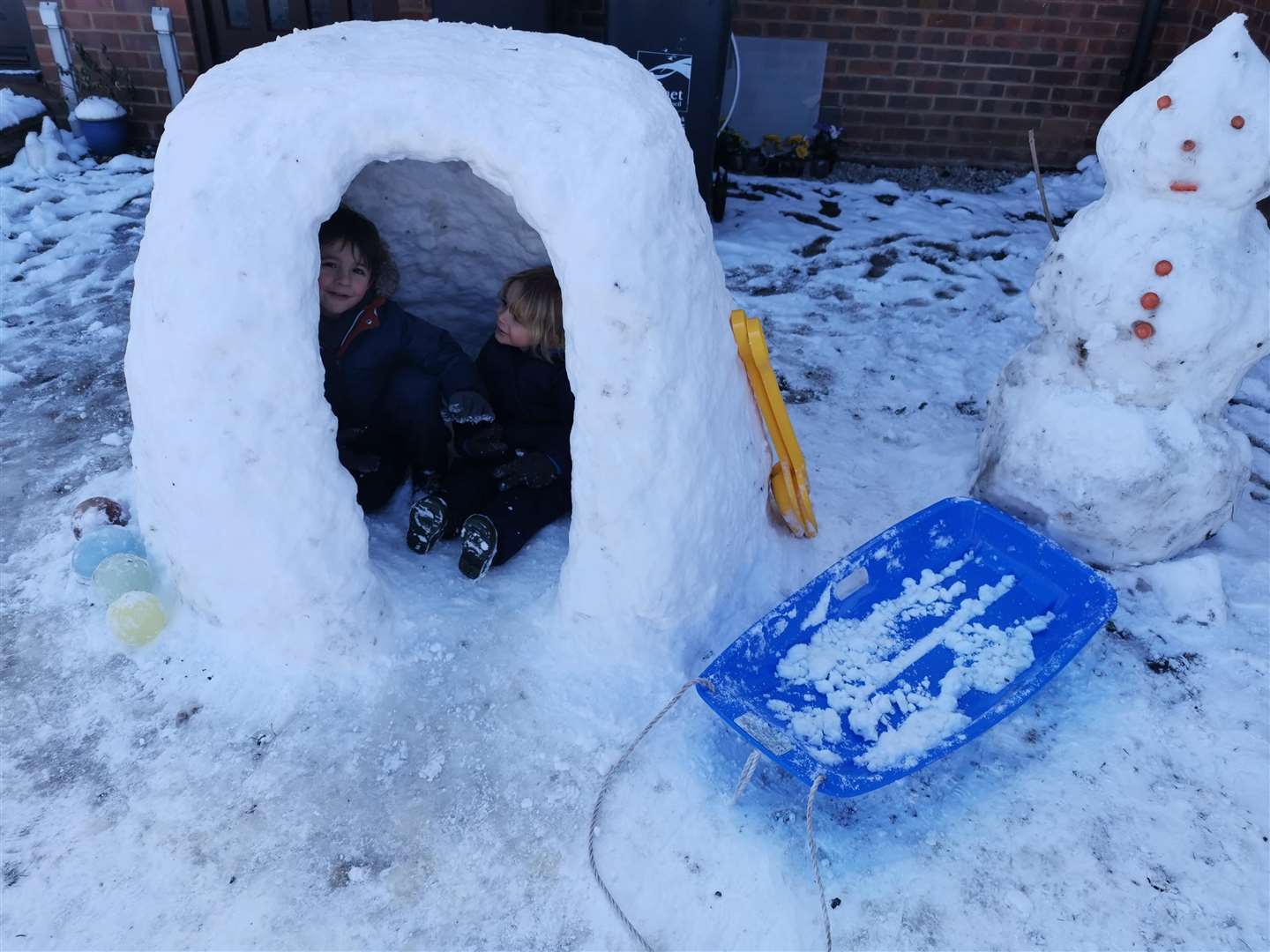 A pair of eskimos moved into the county with the weather. Photo: Jodie Clay