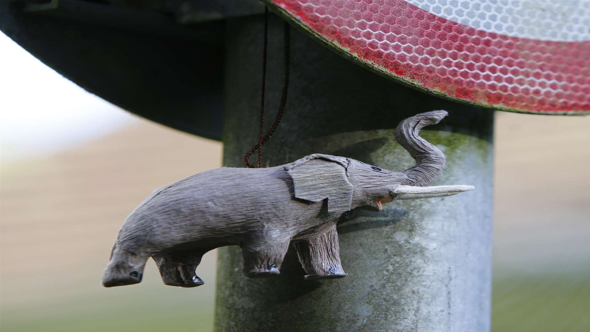 They've been left hanging from signs. Picture: Andy Jones