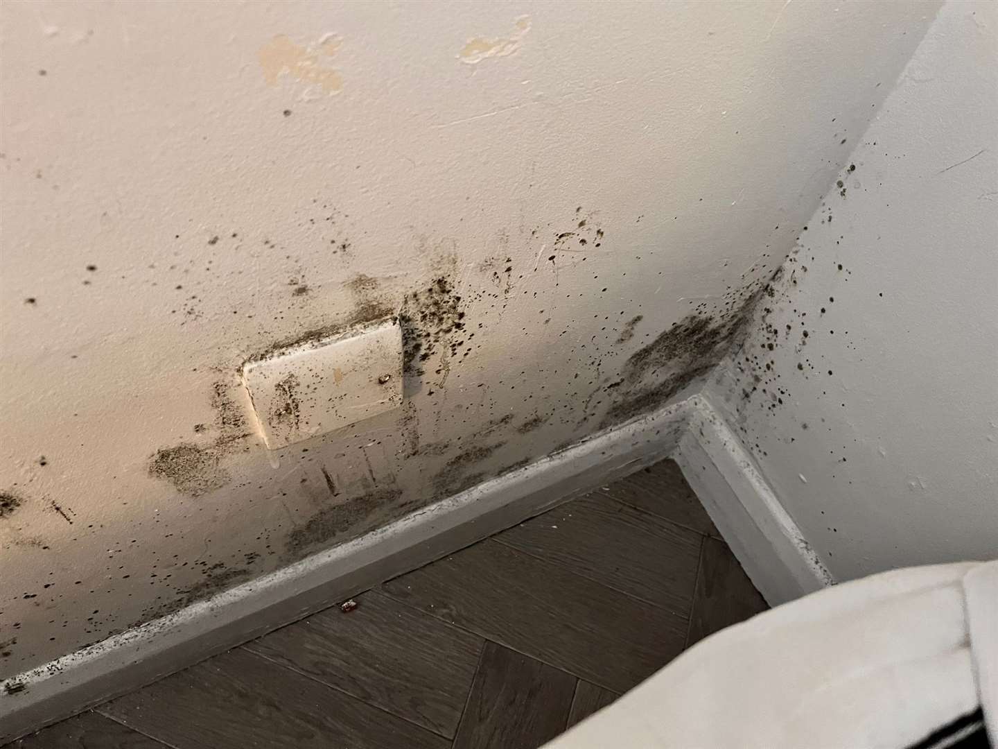 Mould behind Courtney Fenton’s bed before cleaning