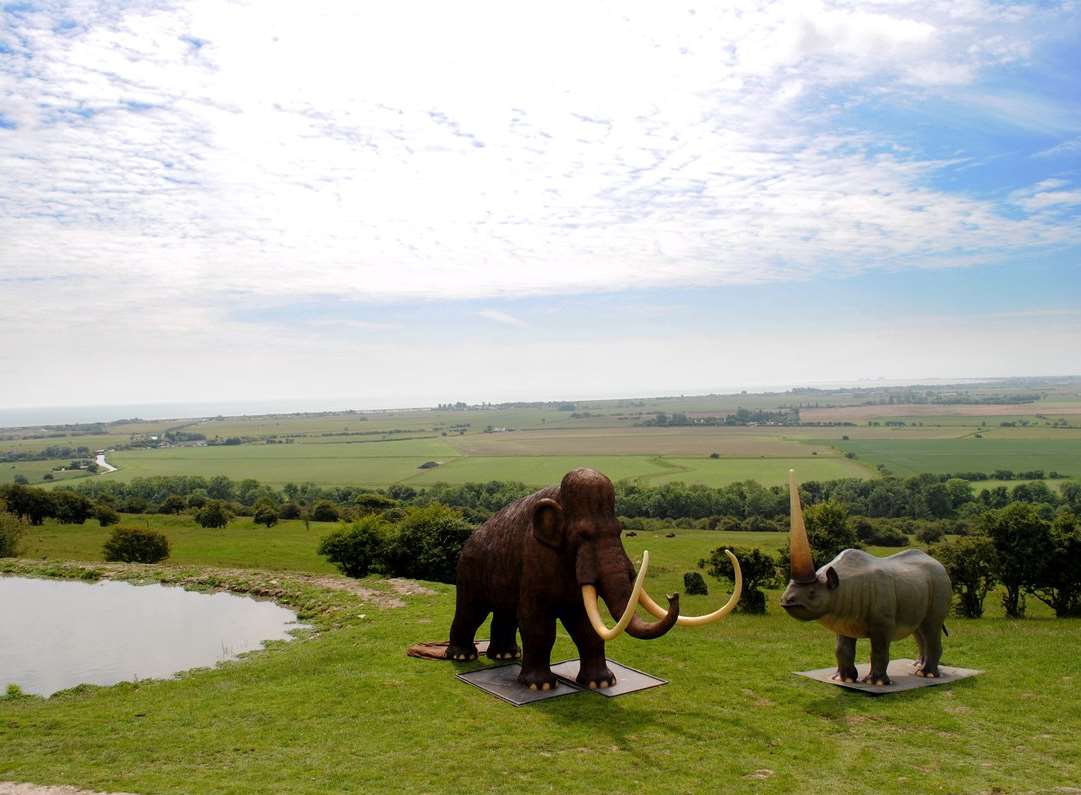 Take an animal adventure like no other at Port Lympne