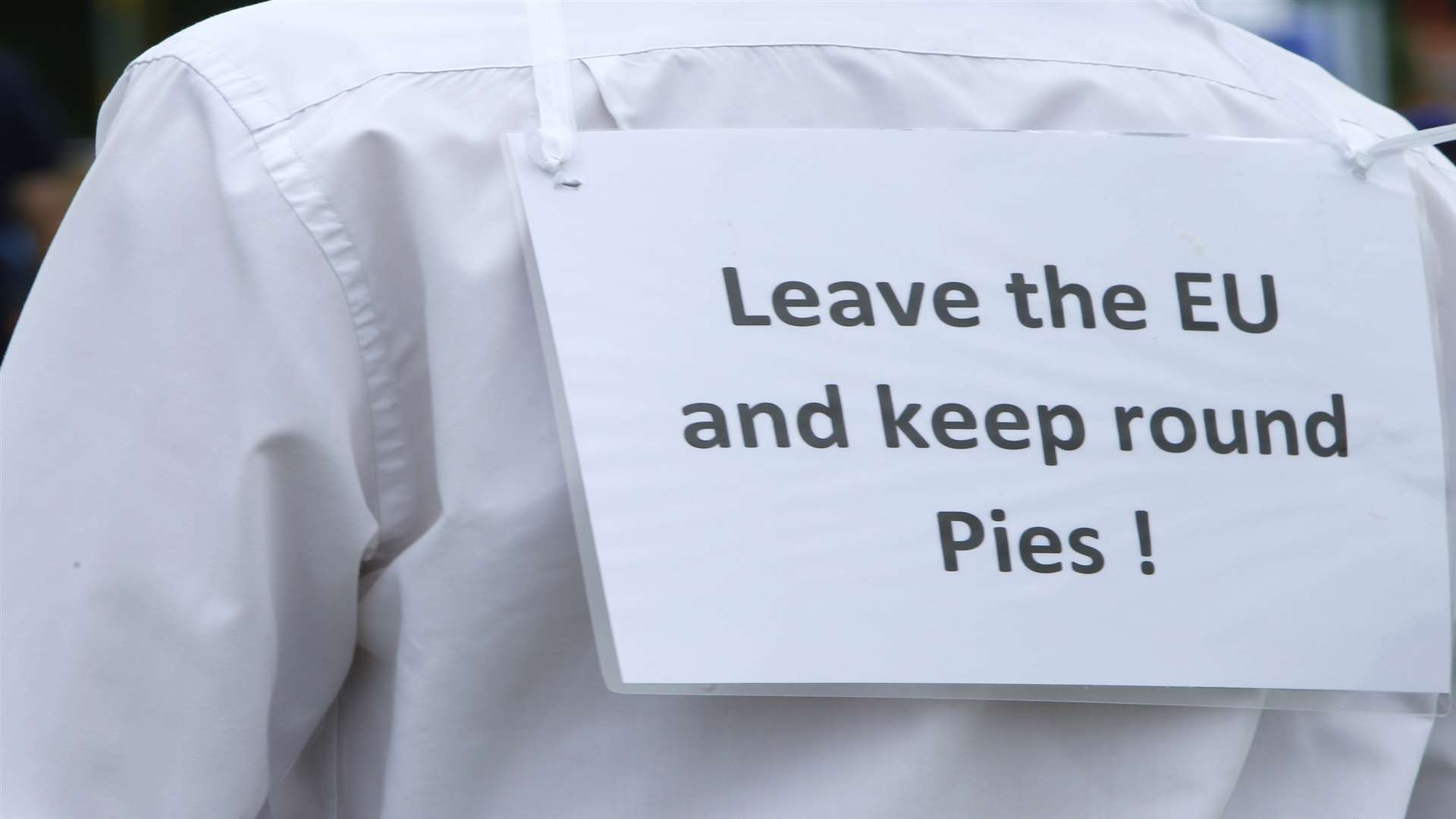 Even custard pies weren't safe from the Brexit debate. Picture: Andy Jones