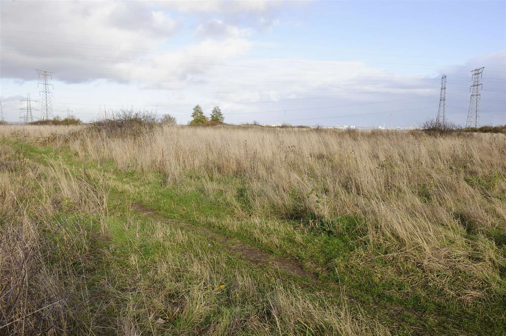 Views of land adjacent to Stone Lodge, off Cotton Lane, Dartford, earmarked for development.Picture: Andy Payton