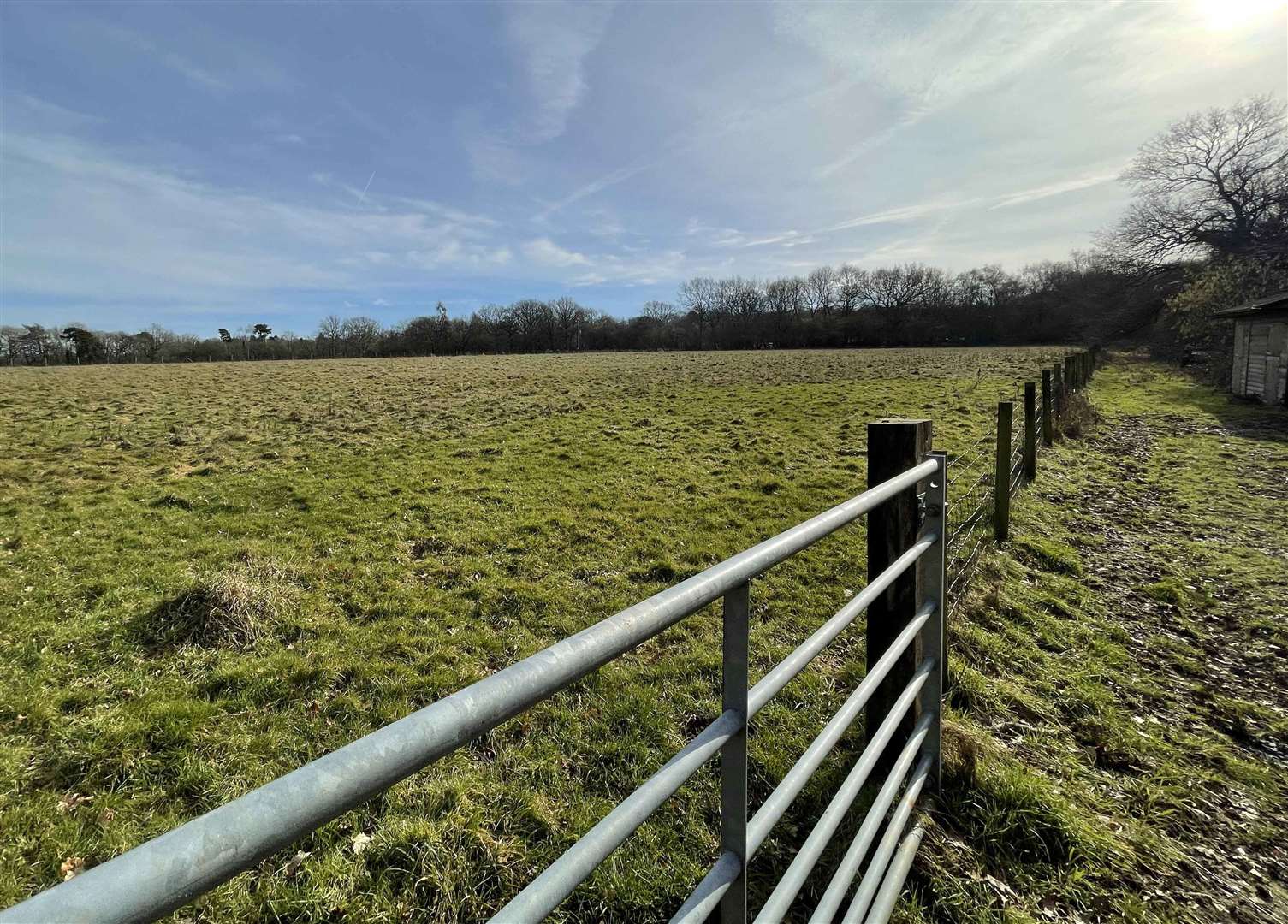 Part of grazing land and and woodland will be auctioned off. Picture: Clive Emson Auctioneers