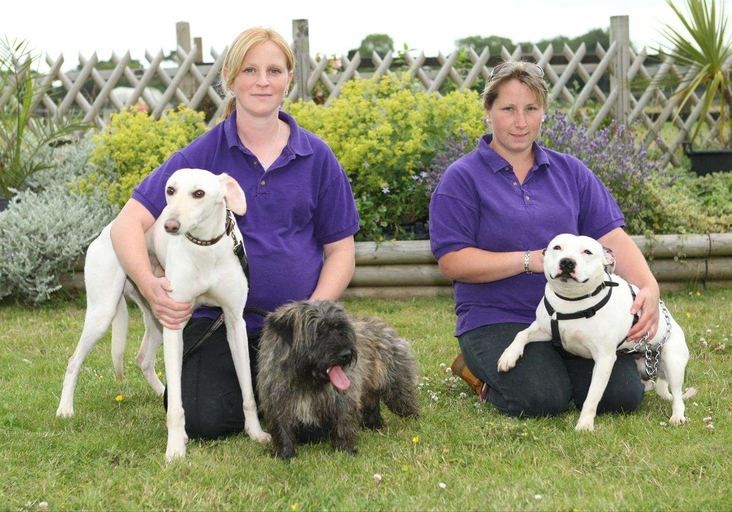 Earnie, Stacie Leech, Lilly, Katie Harpley and Jay at Frandham Kennels.