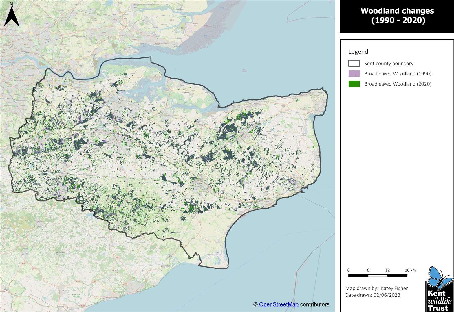 Changes in woodland coverage in Kent, 1990-2020. Supplied by Kent Wildlife Trust