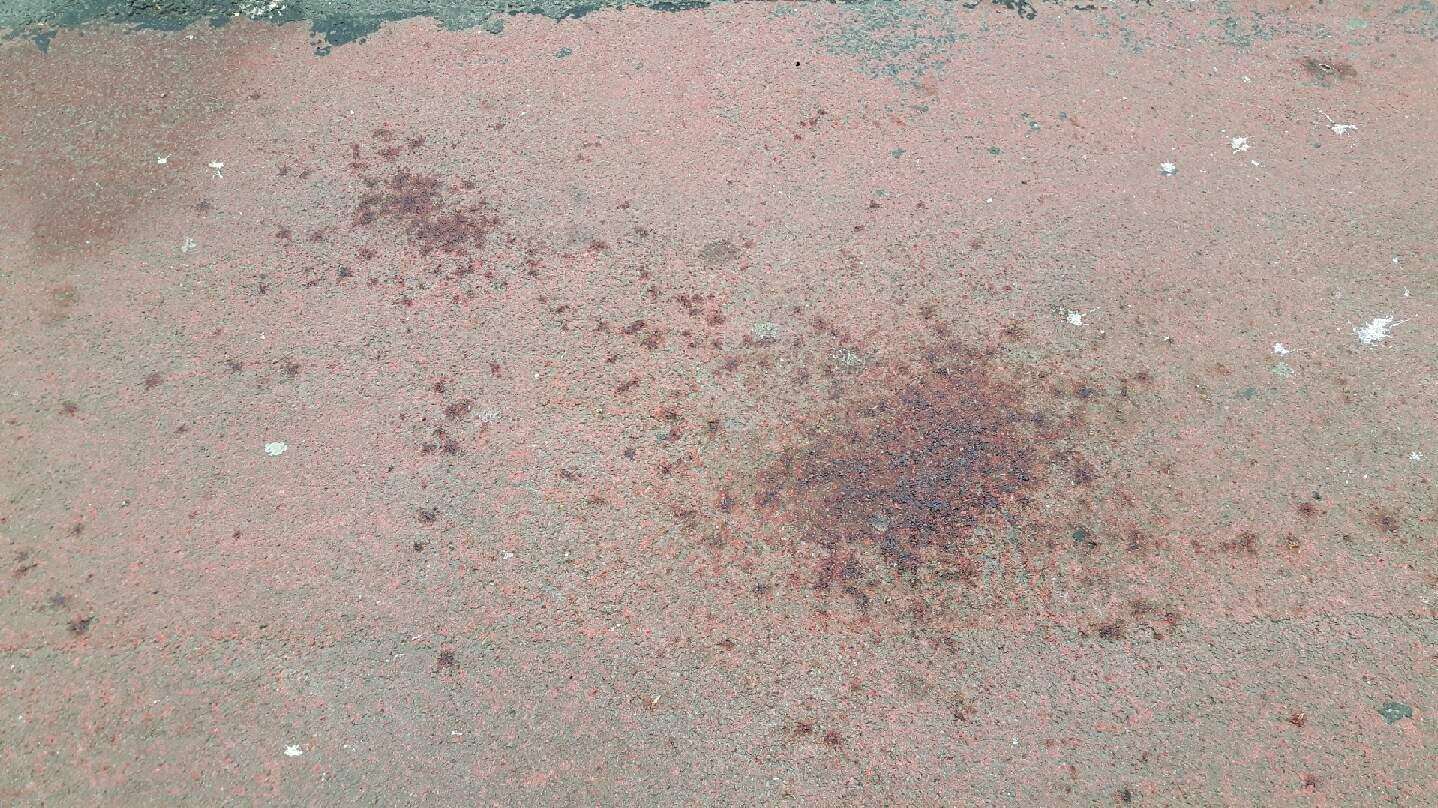 'Blood' splattered on the pavement outside Warren's hair salon in Dover