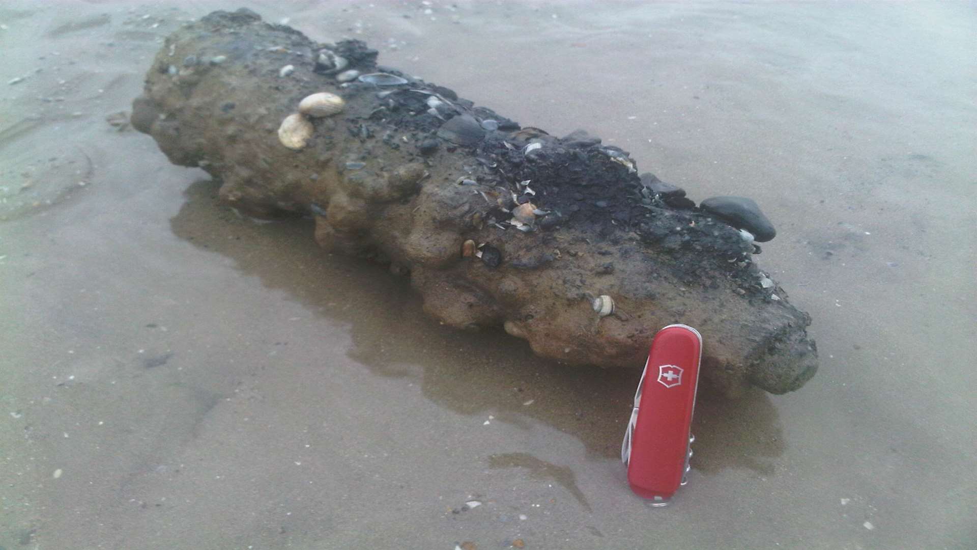 The shell was found at Sandwich Bay on Saturday