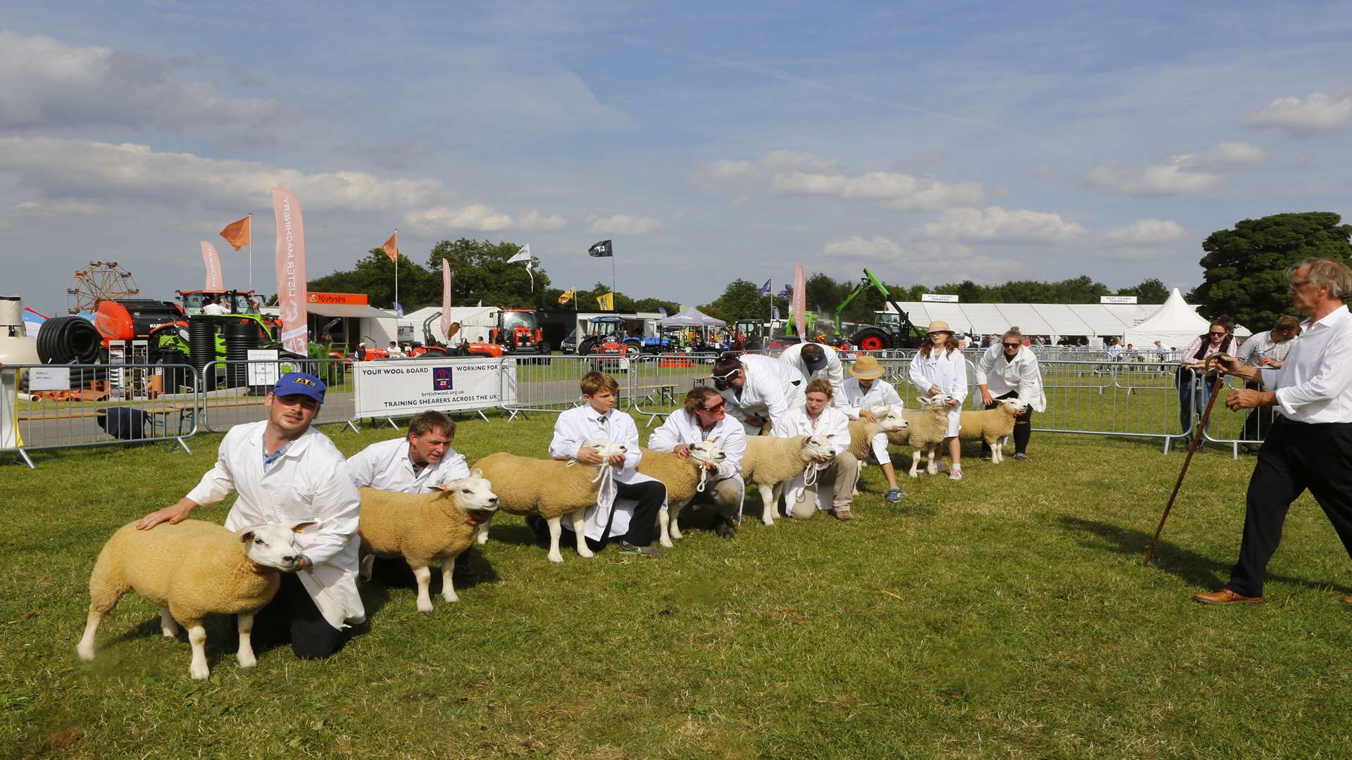 Judging in the Sheep rings