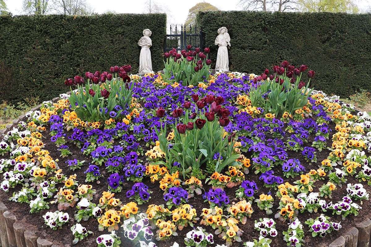 The colourful tulips each symbolise something different. Picture: Hever Castle and Gardens