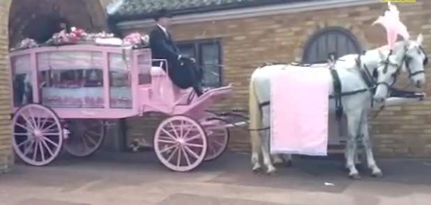 The pink hearse and horses' gear for the funeral of Kayleigh Duff