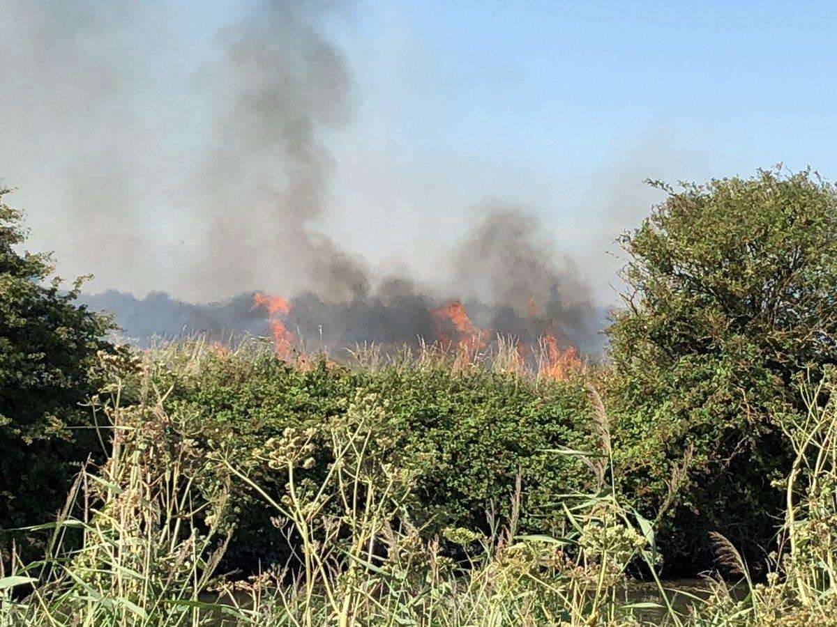 Five fire engines were sent to the scene. Picture: David Hunt