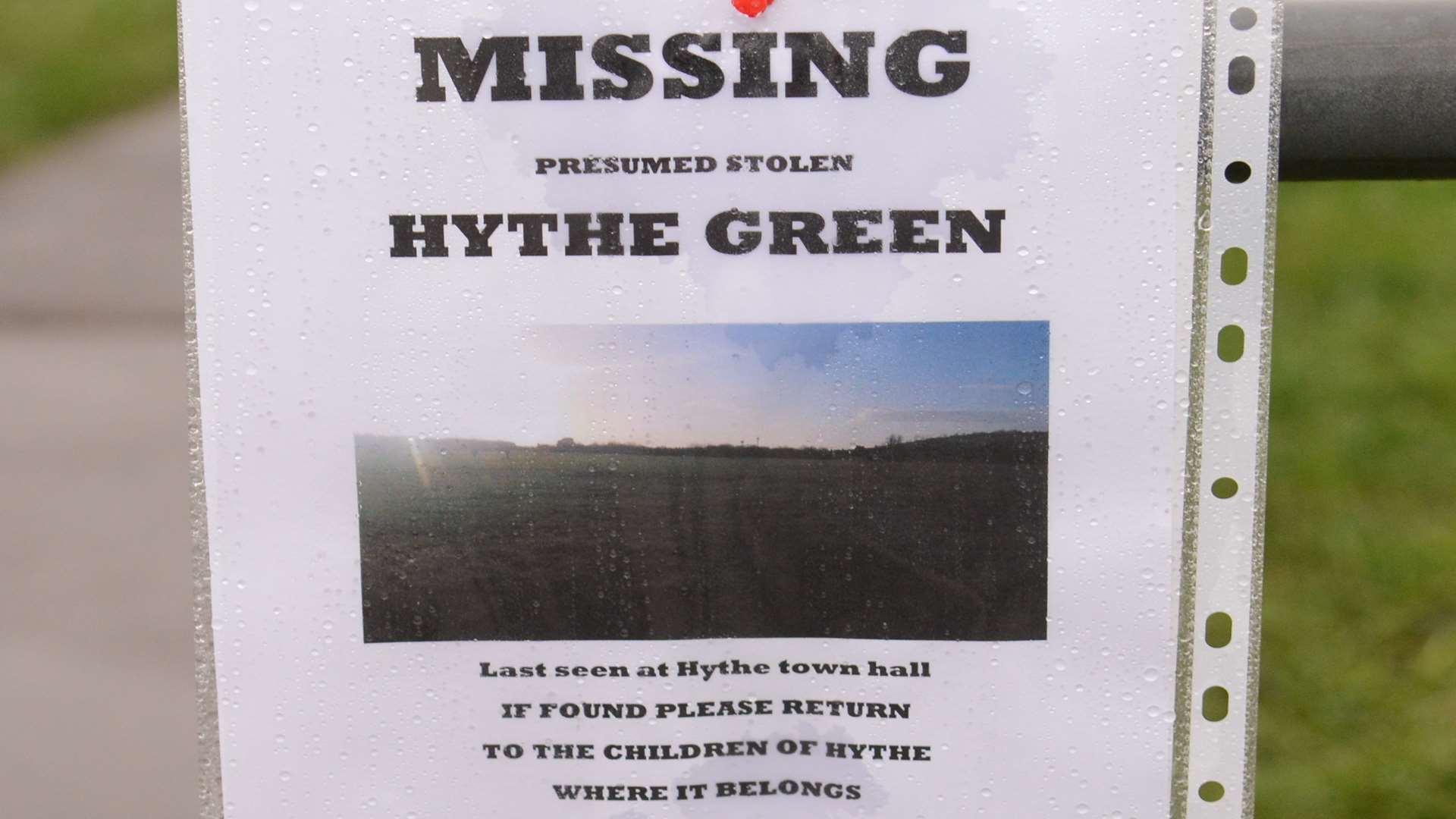 Missing posters for The Green have been posted around Hythe. Picture: Gary Browne