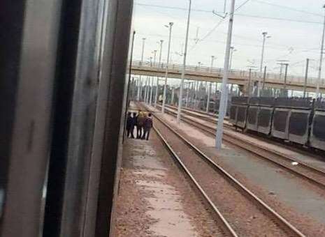 Migrants spotted by the tracks in Calais. Picture: @daftnelly.