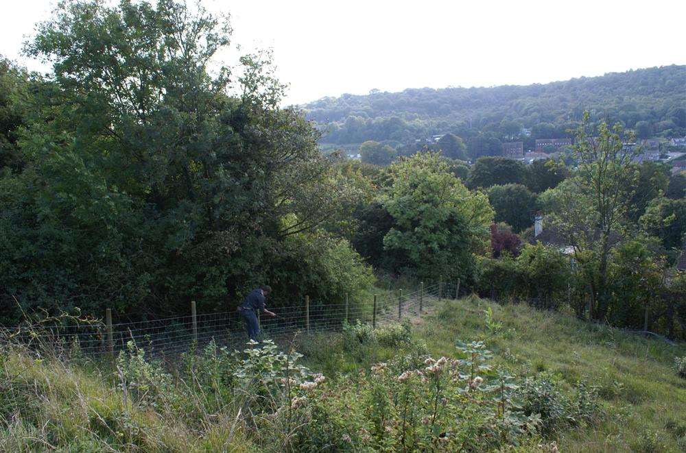 Fencing underway at Old Park Hill, Dover. Picture: Kent Wildlife Trust