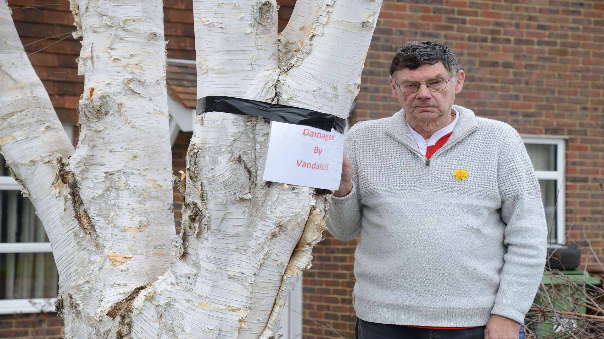 Paul Durkin and the Himalayan Silver Burch tree in his garden which has been vandalised.