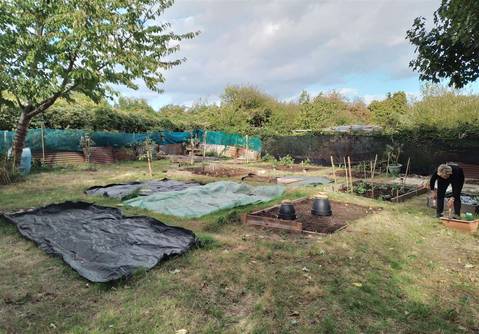 Cally Gale loves her allotment. Photo: Cally Gale
