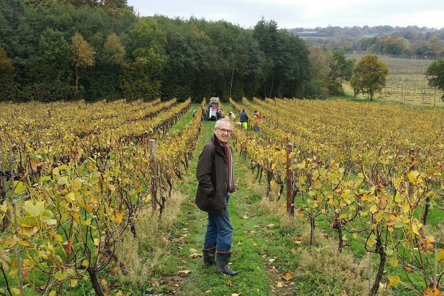 Viticultural consultant Stephen Skelton at Sandhurst Vineyards