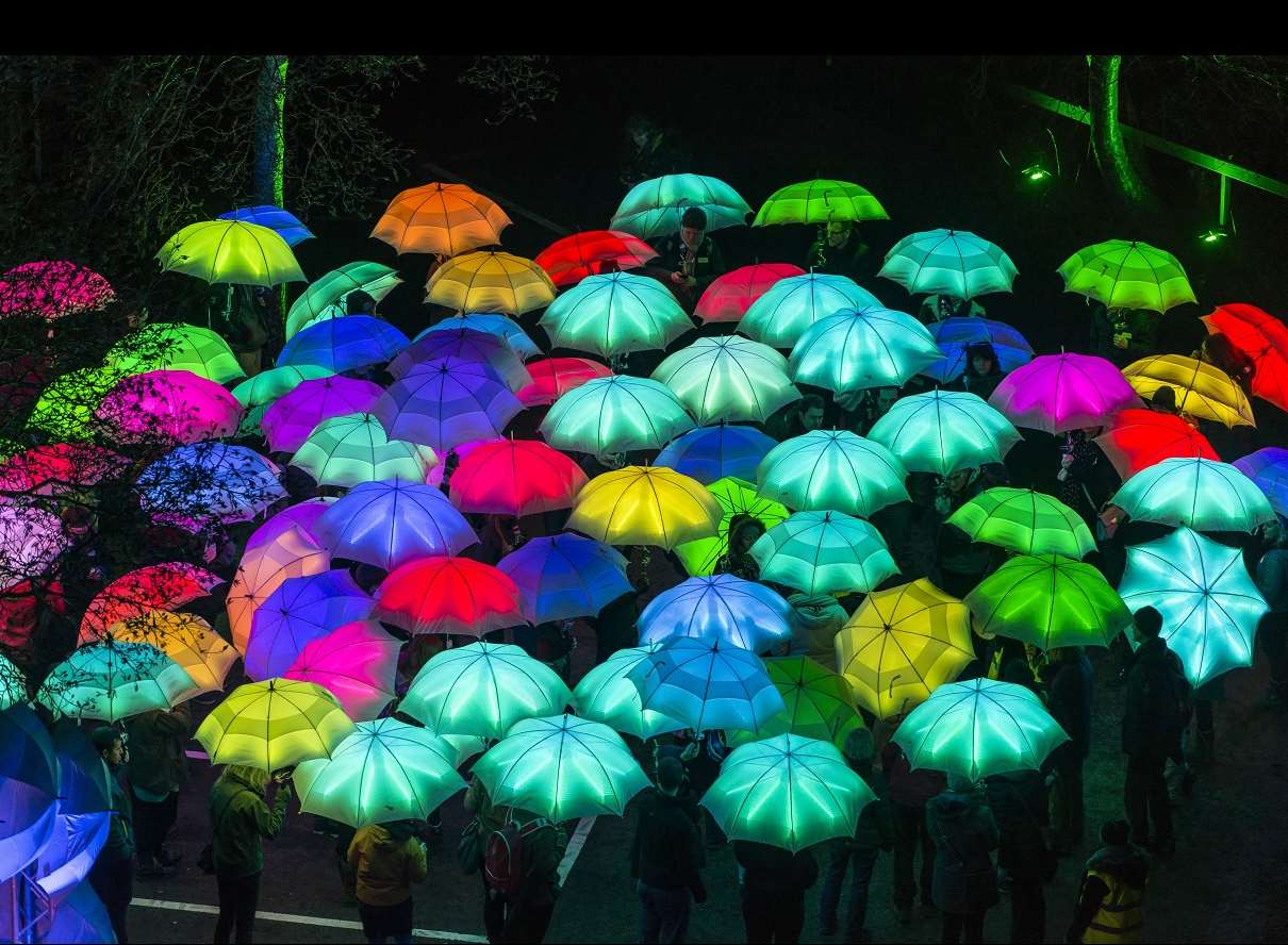 Umbrella Project by Cirque Bijou Picture: Artichoke