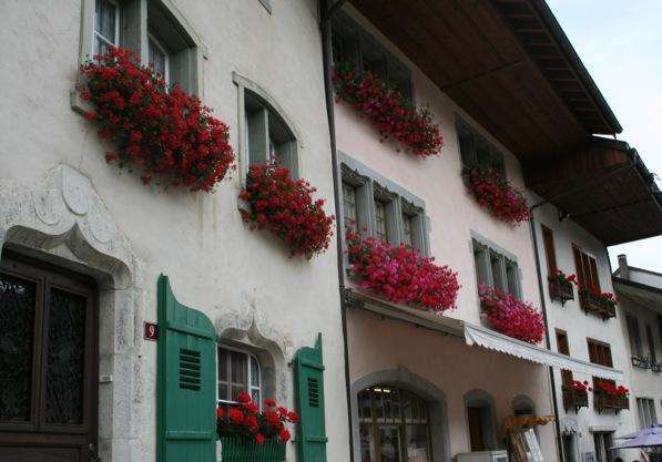 Geraniums can be found in most of the Alpine villages